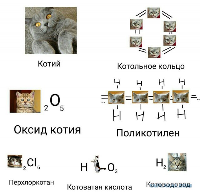 150 картинки для поднятия настроения!