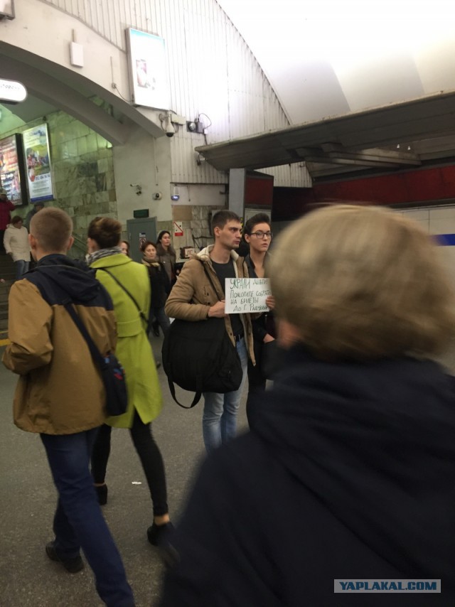А вы бы дали такой?
