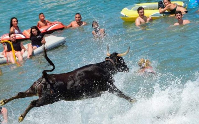 Подборка интересных и веселых картинок