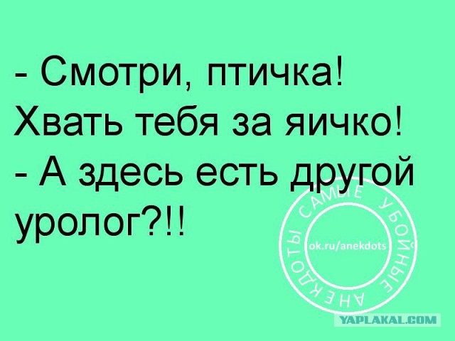 Авторский и не совсем адекватный юмор в картинках