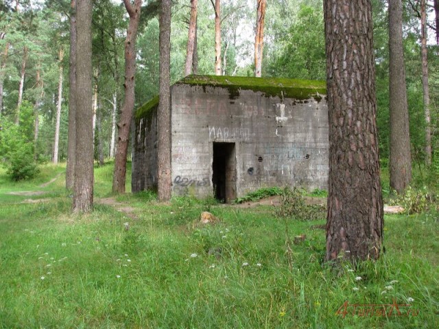 Бункер для Фюрера