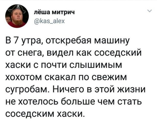 Смешные комментарии из социальных сетей 07.03.2018