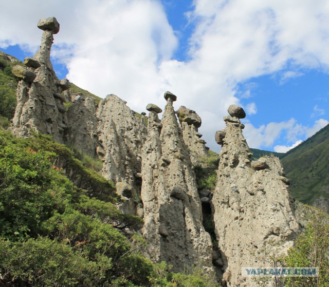Красота Горного Алтая
