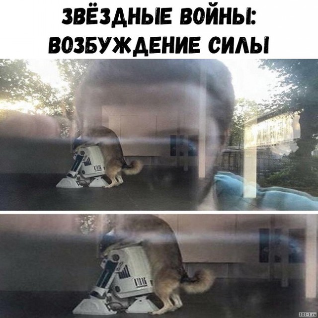 Прикольные картинки.