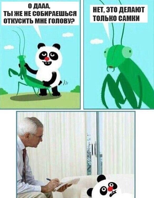 Не очень адекватный юмор