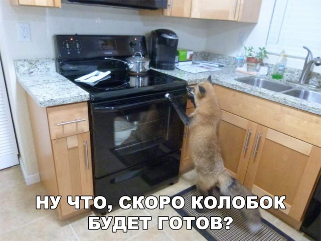 Нестандартный юмор