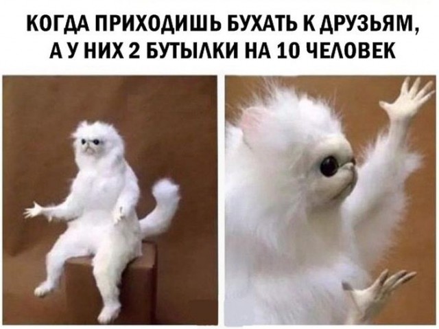 Происхождение интернет мемов которые мы все так любим