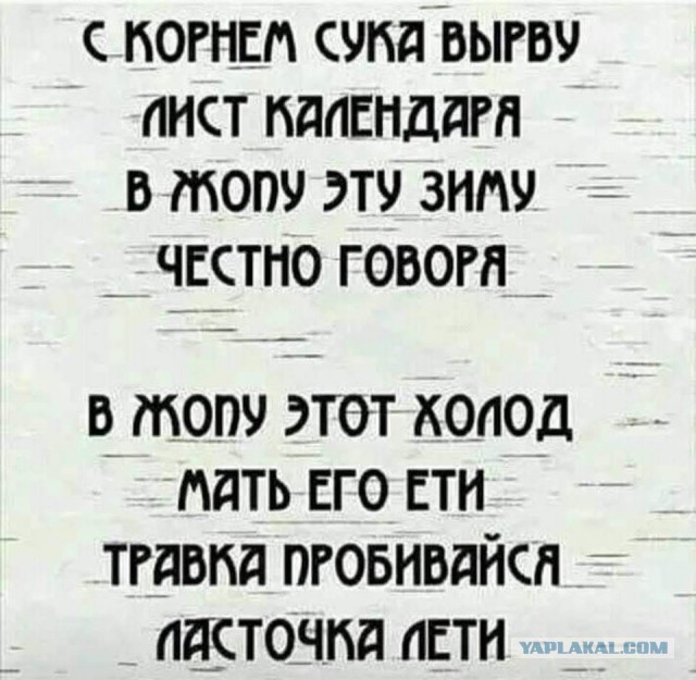 Подборка интересных и веселых картинок 01.12.18