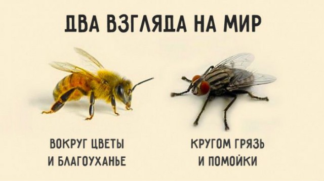 Один мой день в полицейской кутузке в Уфе или про то, как полицейские увидели половину моей попы