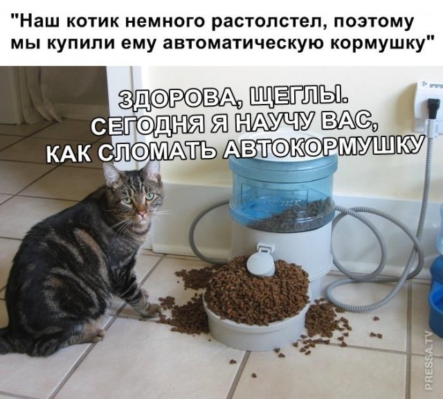 Немного картинок для настроения