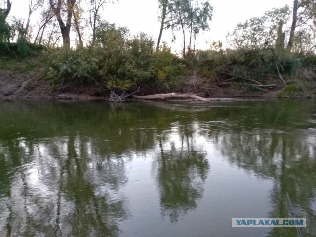 Соскучился по рыбалке