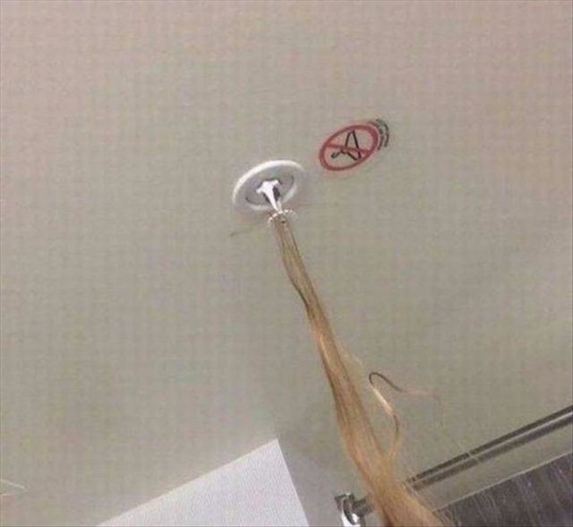 Скотсети и прочие интернеты 04.03.19