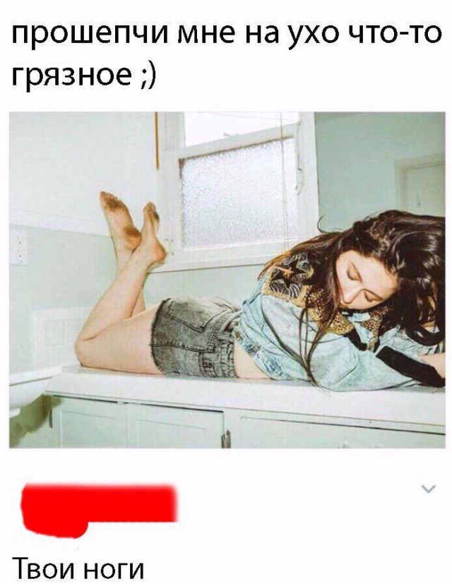 Скотсети и прочие интернеты 29.03.19