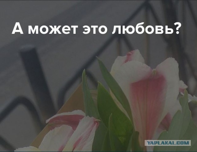 На что смотрят женщины, когда обращают внимание на мужчину?