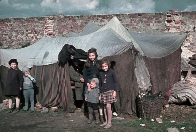 20 век в цвете. 1939 год. Начало Второй Мировой