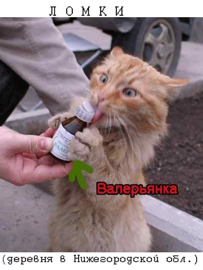 Поиграем в города?!