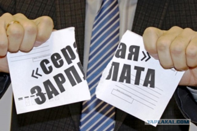 В России захотели массово сажать за серые зарплаты