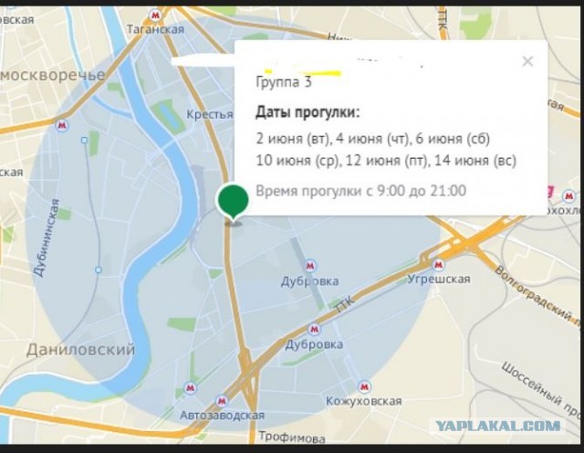 Опубликована карта с графиком прогулок в Москве