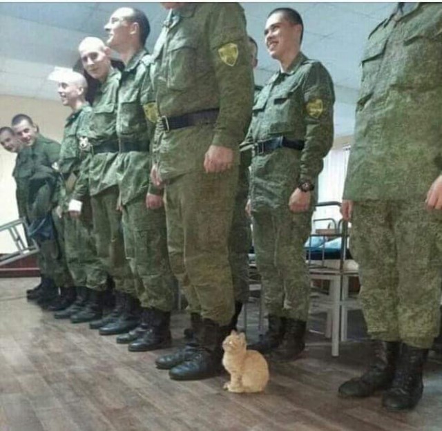 Бредзона 22.07.2020