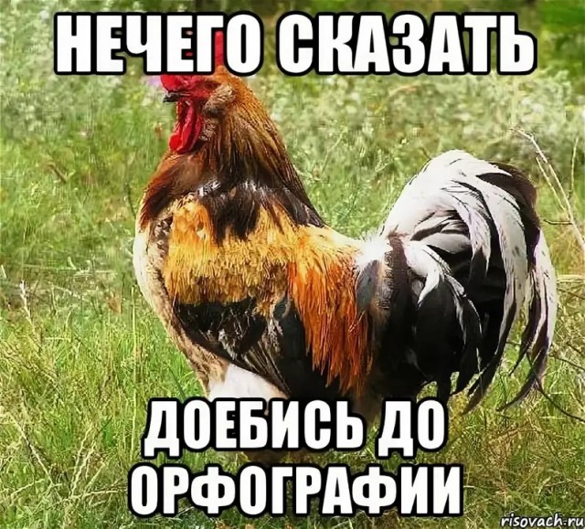 "Девочка ведущая на смерть" разоблачает