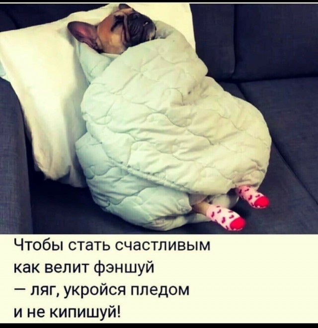Кретинизмы из сети 13.01.21