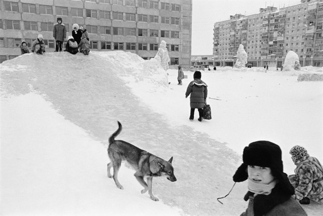 Период распада