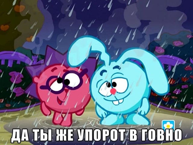 Голубь - настоящий мужик