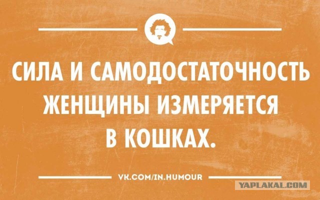 Запросы женщин за 30 или таких сказочных дядей просто не бывает
