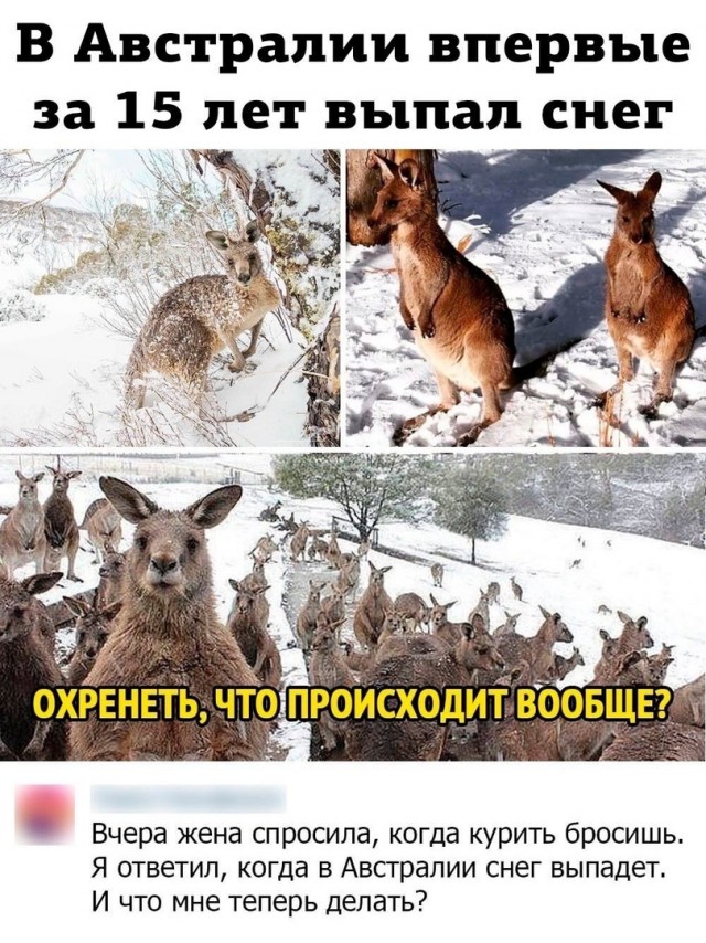 Весёлый полтишок 13.03