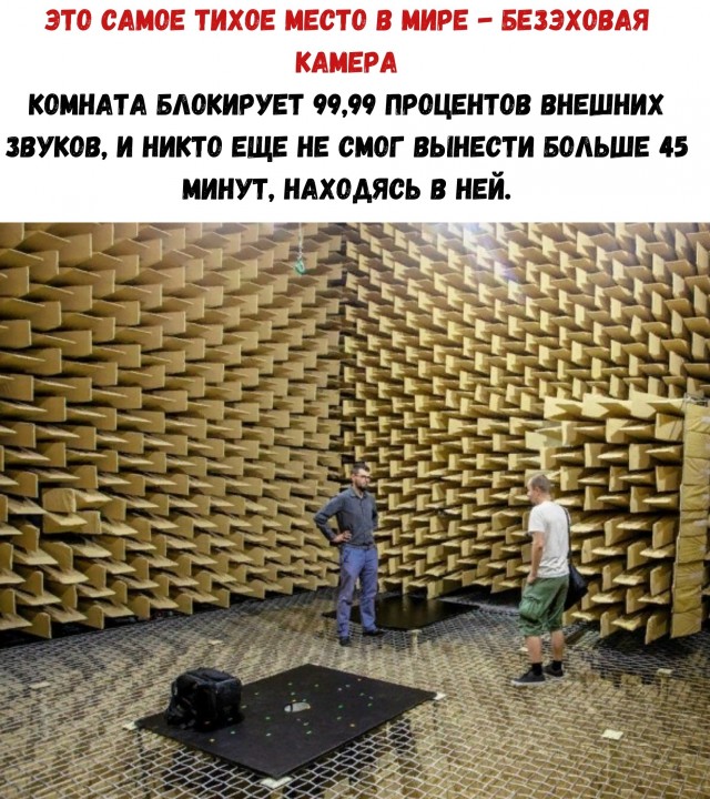 Картинки и мемы для настроения 029