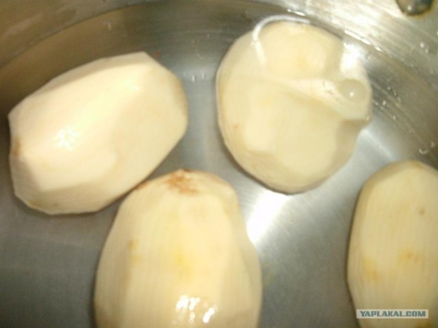 Пятничные посиделки на теплотрассе ©