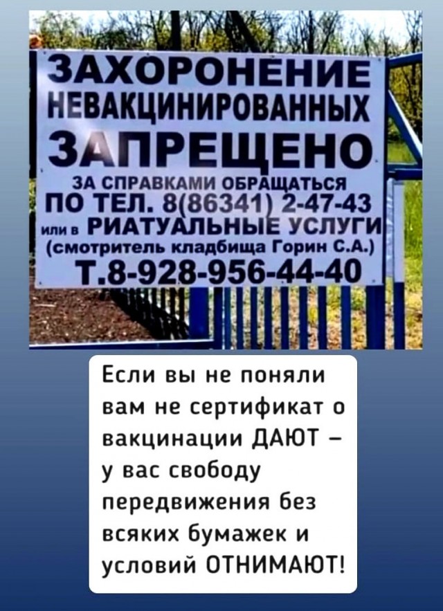 Так себе картинки 11.11.21