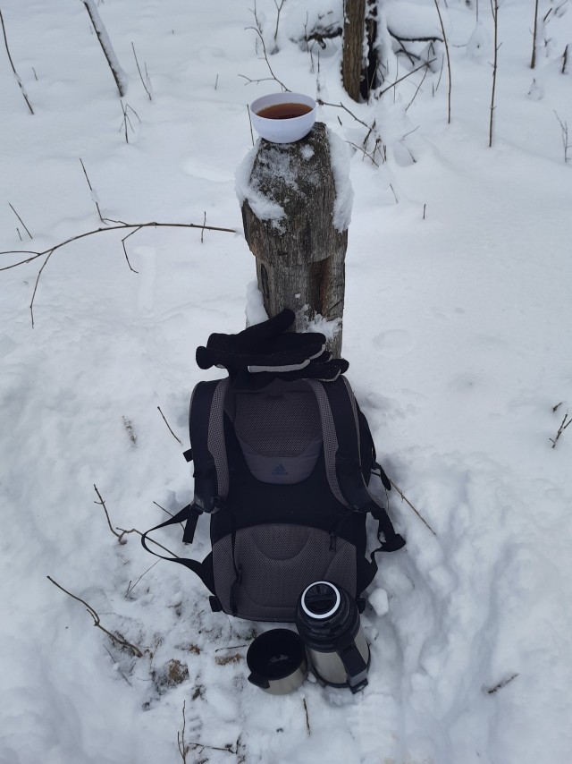 Первое января глазами непьющего человека
