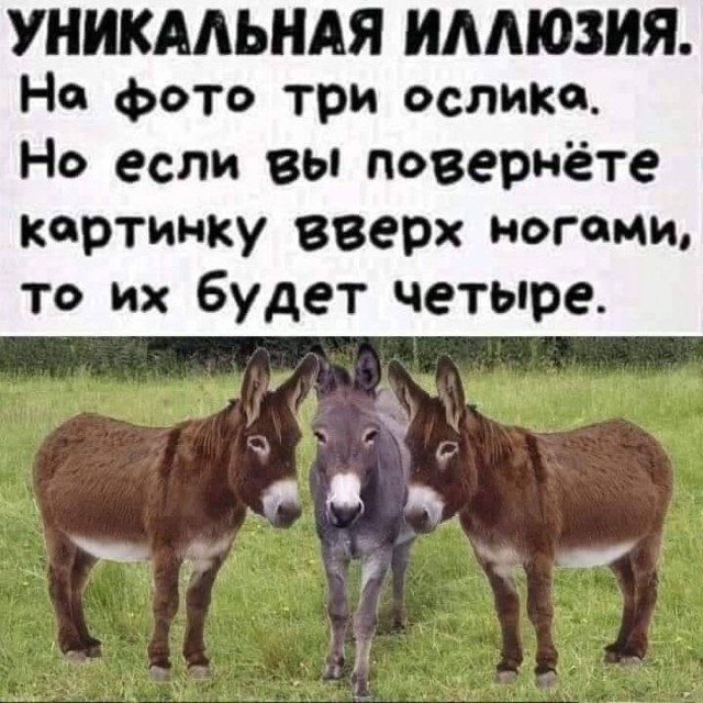 Картинки 12.02.22