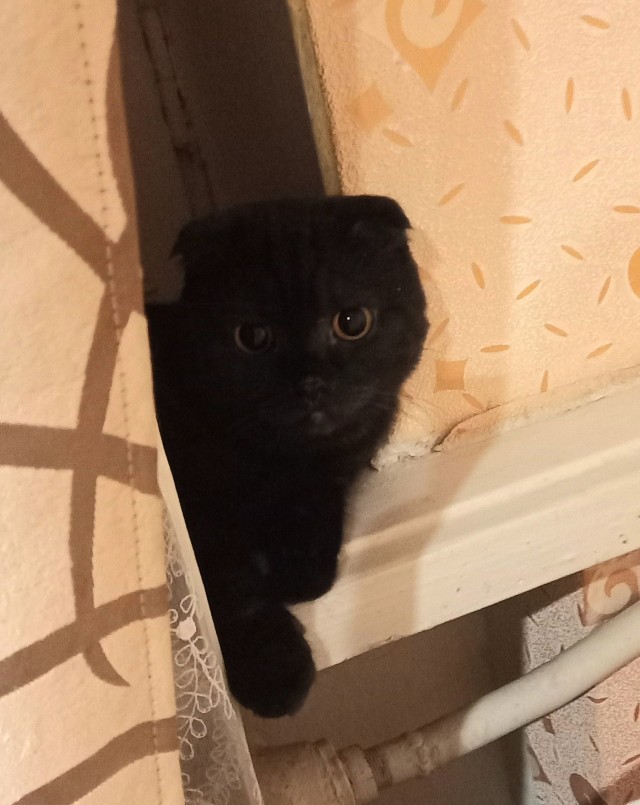 Котовторниковское