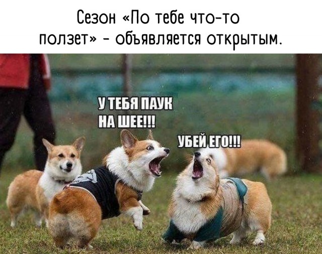 Так себе картинки 05.05.22