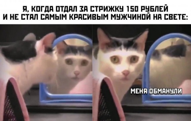 Картинки и мемы для настроения - 15