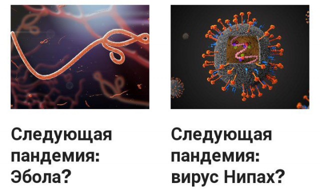 Пандемия съехавших крыш - разновидности болезни. Россия и мир. Часть 38