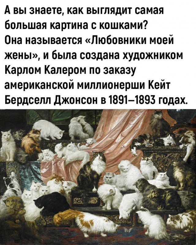 Так себе картинки 18.07.22