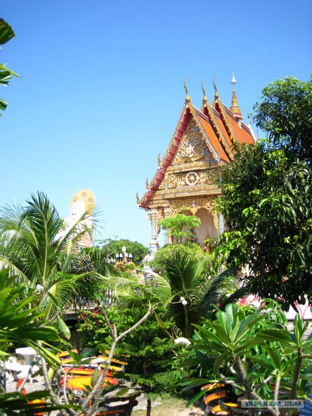 Такой разный остров Самуи