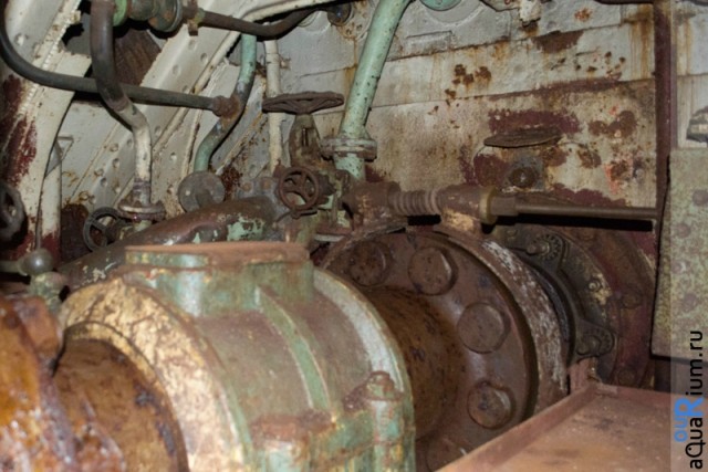 СПб глазами уставшего туриста...