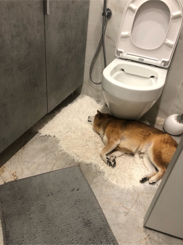 Нам уже 3 месяца