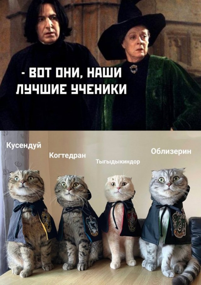 Прикольные и просто красивые картинки 25.10.2022