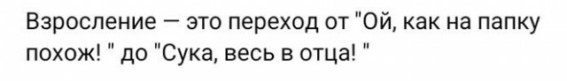 Позитив на утро 27.10.22