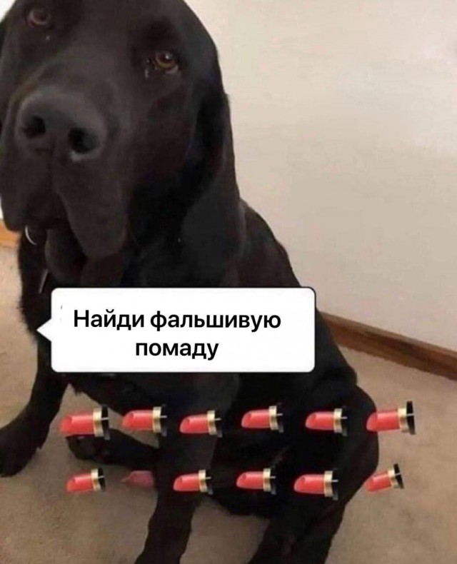 Пятничная деградация