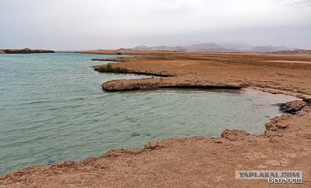 Синайские приключения. Шарм-эш-Шейх и окресности