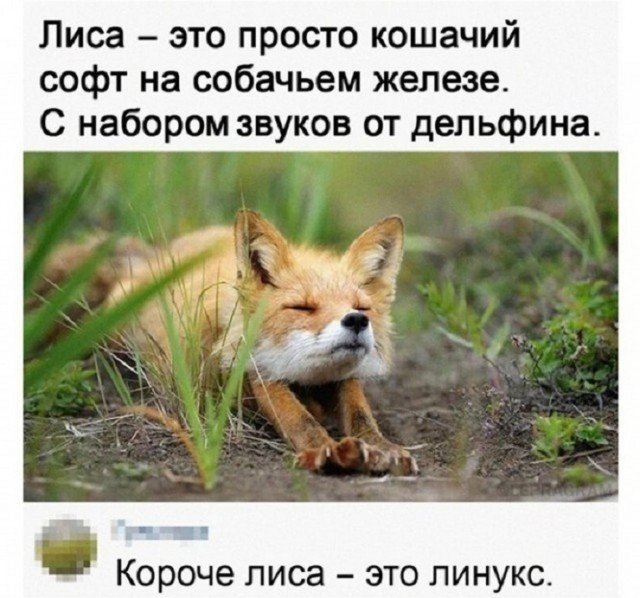 Немного картинок для настроения - 127