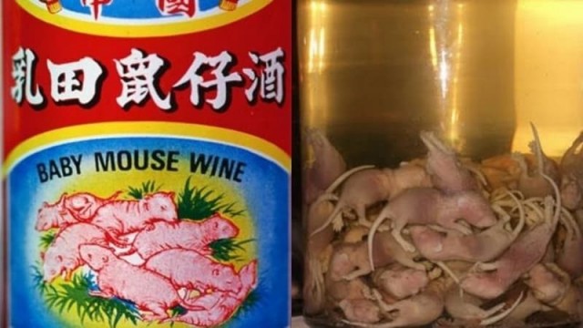 Кротовуха! Дегустация настойки на кротах