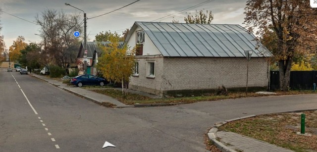У березы шансов вырасти нет