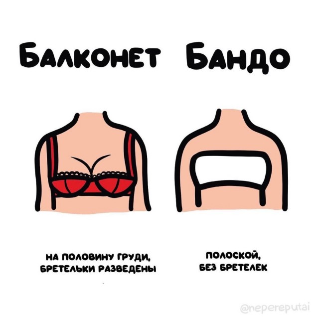 Смотри, Кутузов, не перепутай...